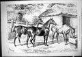 Original Old Antique Print Horses Out Harness Stable Yard Scene 1877 Victorian
