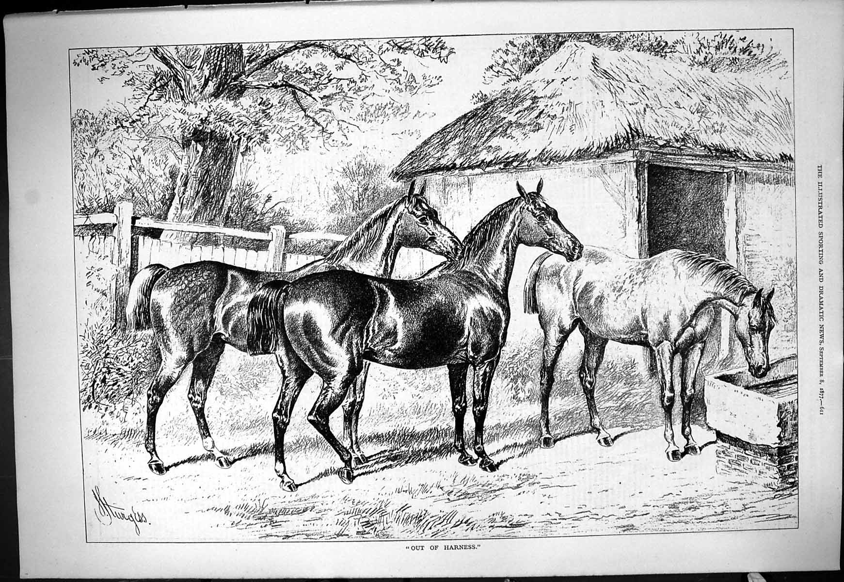 Original Old Antique Print Horses Out Harness Stable Yard Scene 1877 Victorian