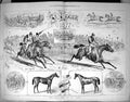 Old Horse Racing St. Leger Race Sport Silvio Lady Glightly Jockeys 0