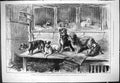 Original Old Antique Print 1877 Leadenhall Market Dogs Cages Animals Victorian