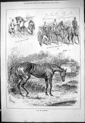 Antique Old Print 1877 Horse Racing Jockeys Stable Starving Animals Caravan