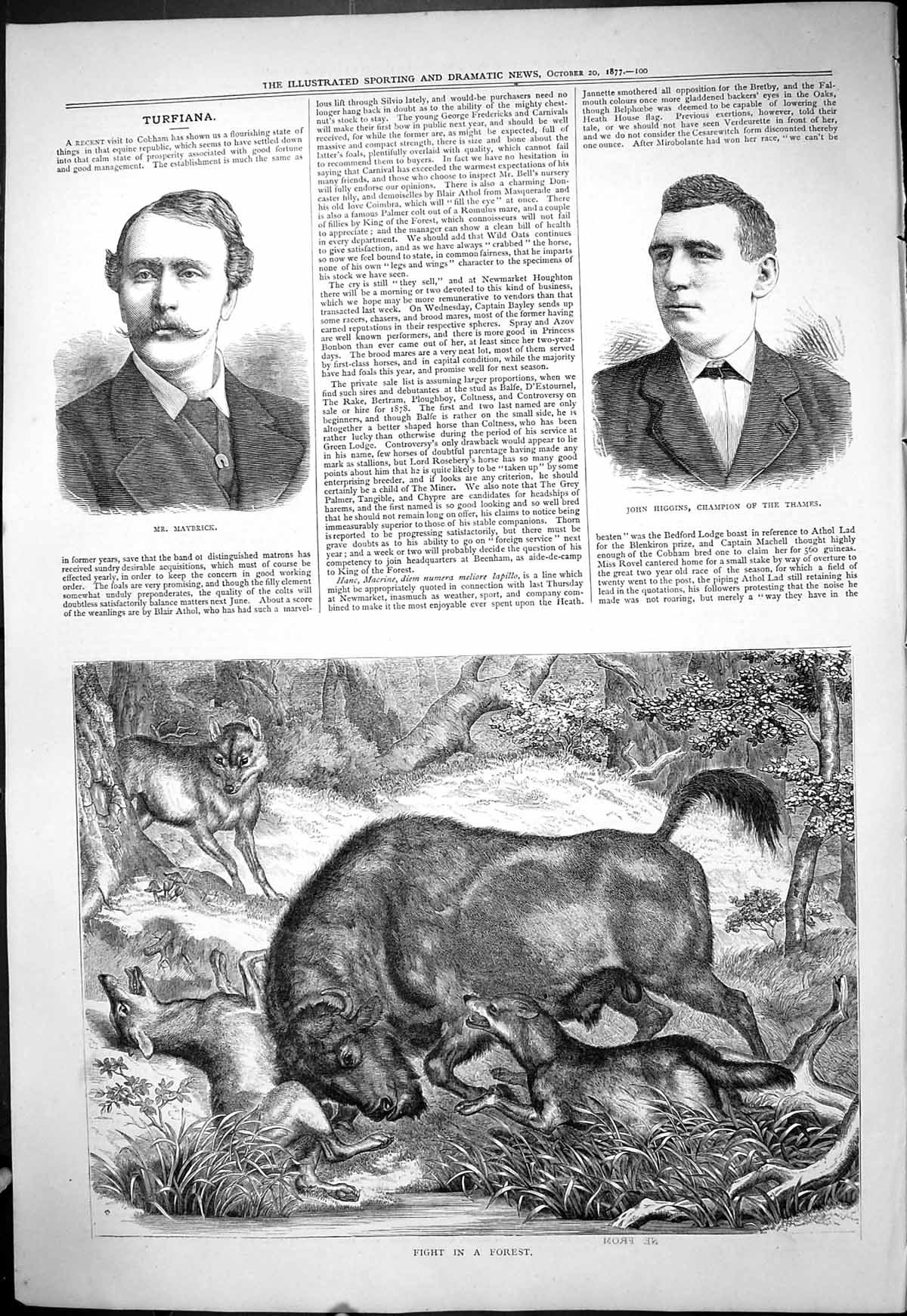 Old 1877 Portrait Mr Maybrick John Higgins Champion Thames Fight Fore Victorian