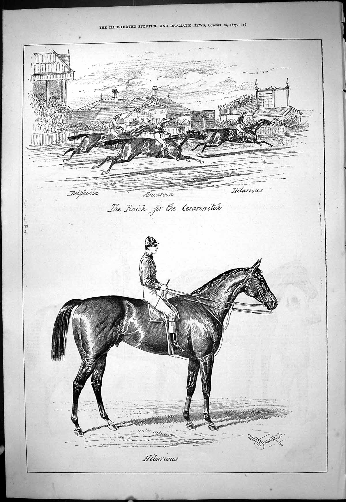 Old Horse Racing Jockeys Cesarevitch Hilarious Macaroon Belphoebe 187 Victorian