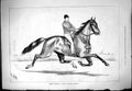Original Old Antique Print 1877 Great Eastern Famous American Trotter Horse