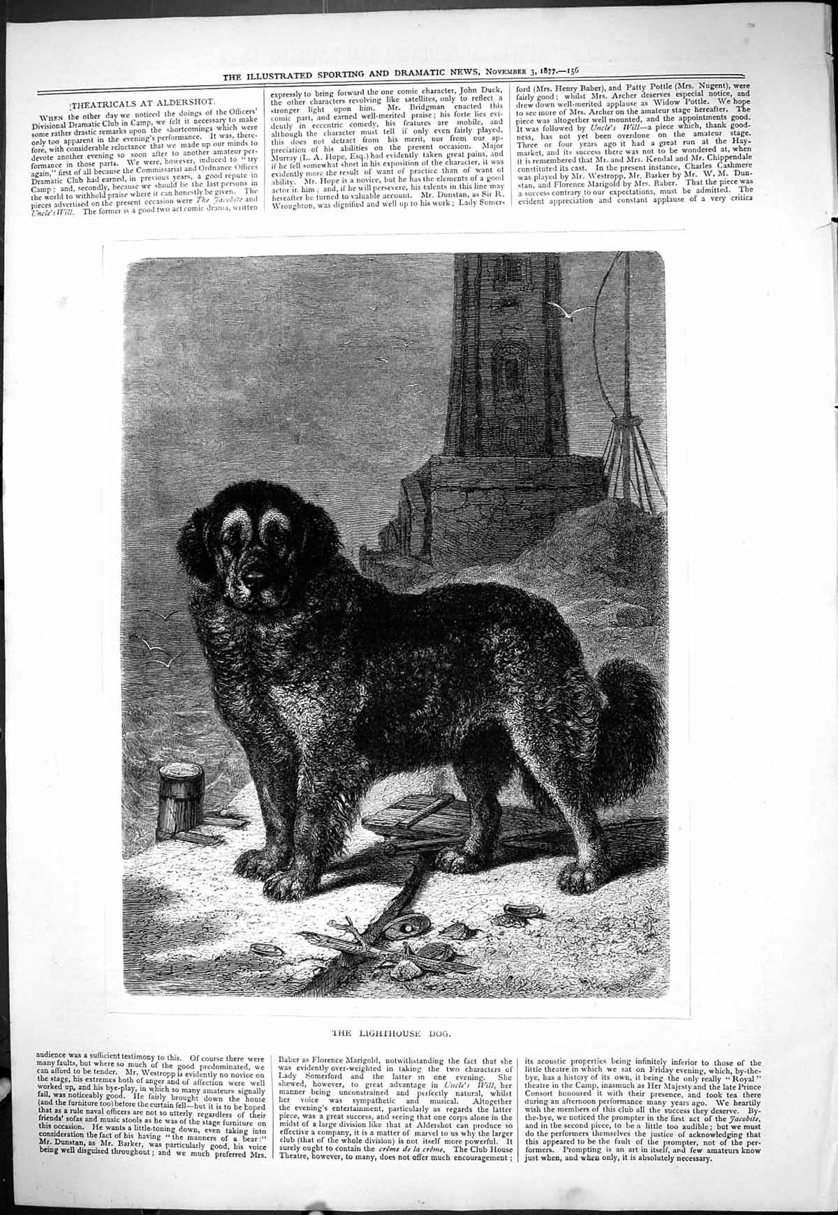 Original Old Antique Print 1877 Lighthouse Pet Dog Birds Sea Scene Victorian