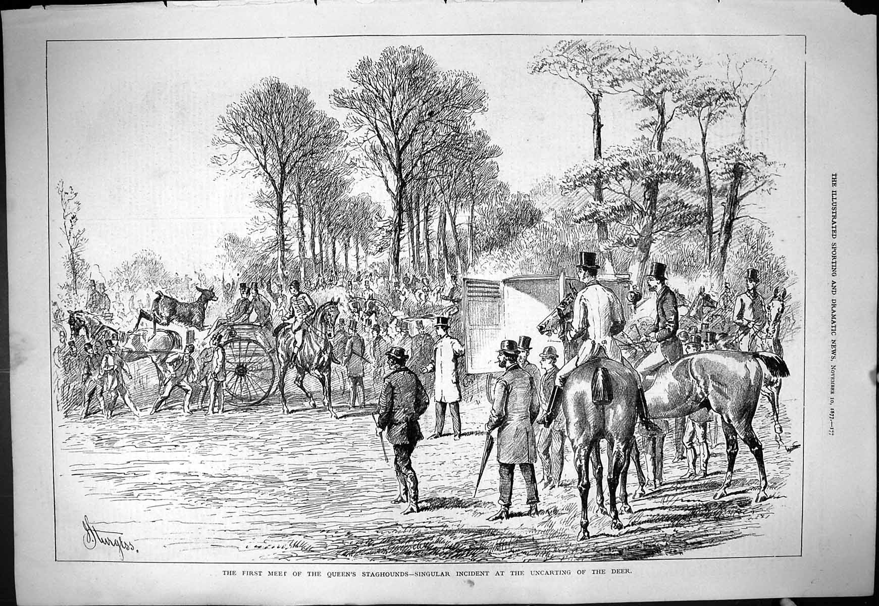 Old 1877 Meet Queen'S Staghounds Hunting Uncarting Deer Sport Horses Victorian