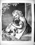 Old Antique Print 1877 Portrait Beautiful Girl Dog Pets The HousehHolmes 19th