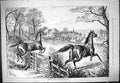 Antique Print 1877 Another Chip John Sturgess Hunting Horses Jumping Fence 19th