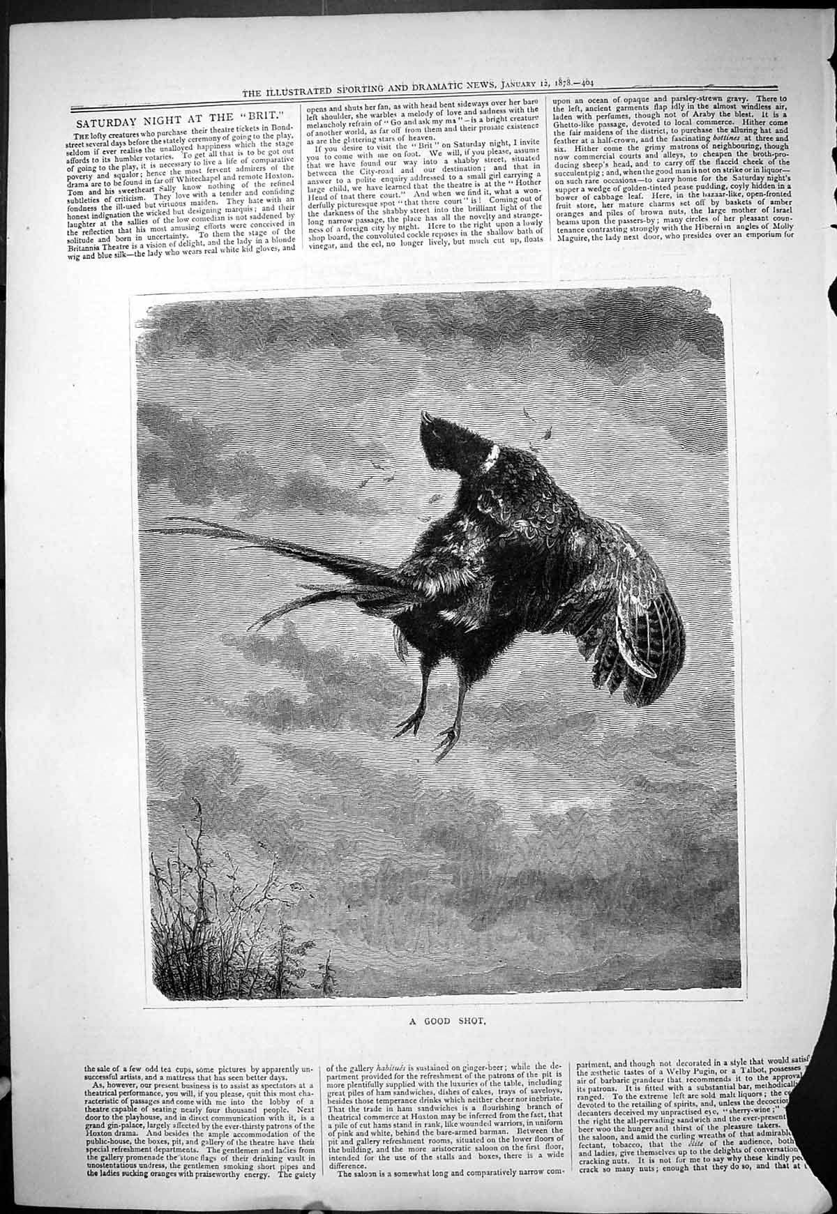 Original Old Antique Print 1878 Good Shot Hunting Dead Bird Grouse Shooting