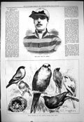 Old Prize Birds Crystal Palace Show 1878 Portrait Mr St. James Jockey Victorian