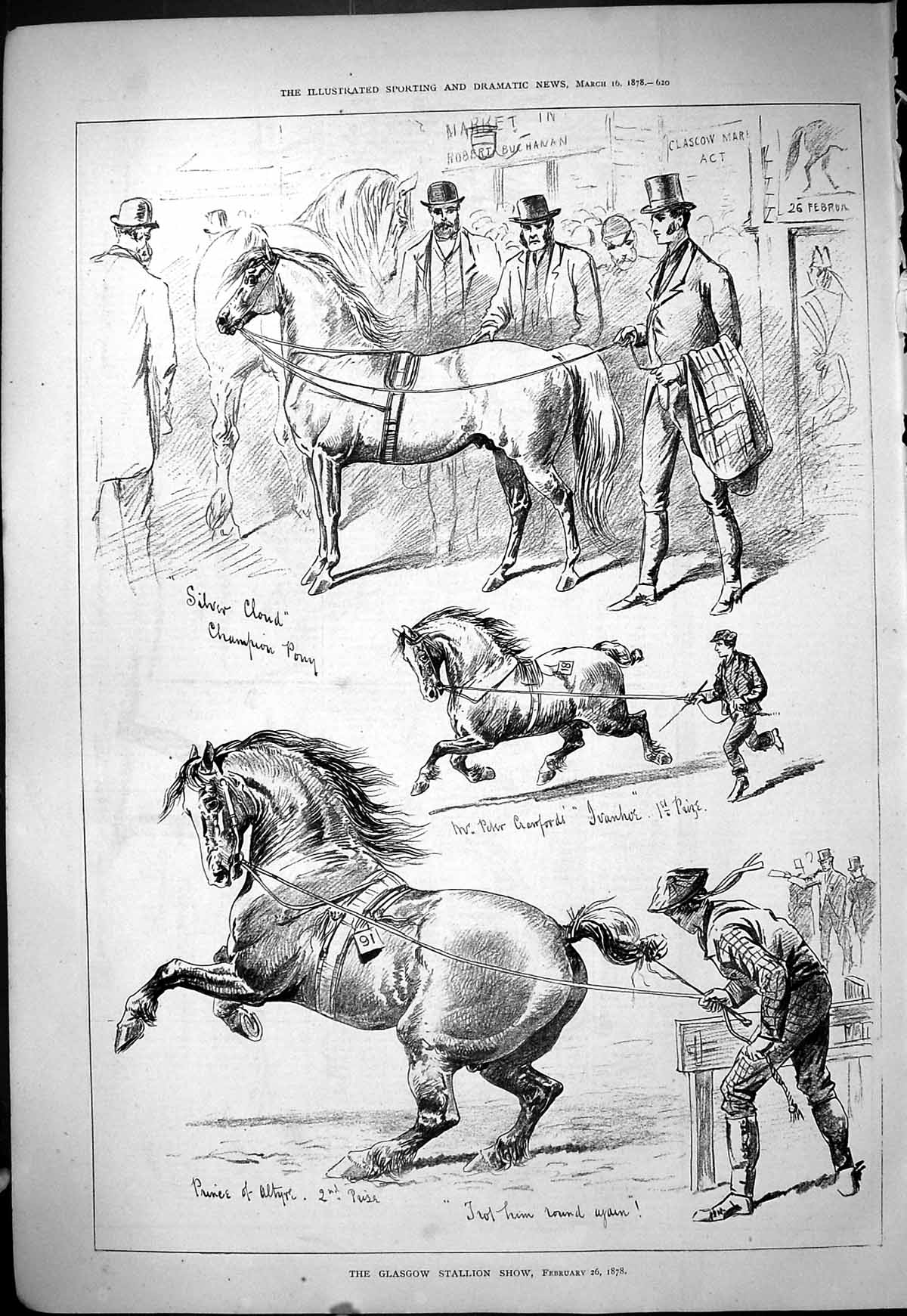 Antique Old Print 1878 Glasgow Stallion Horse Show Silver Cloud Prince Altyre
