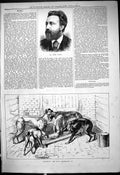 Old Antique Print 1878 Portrait Henry Gadsby Gilderoy Stud Greyhound Dogs 19th