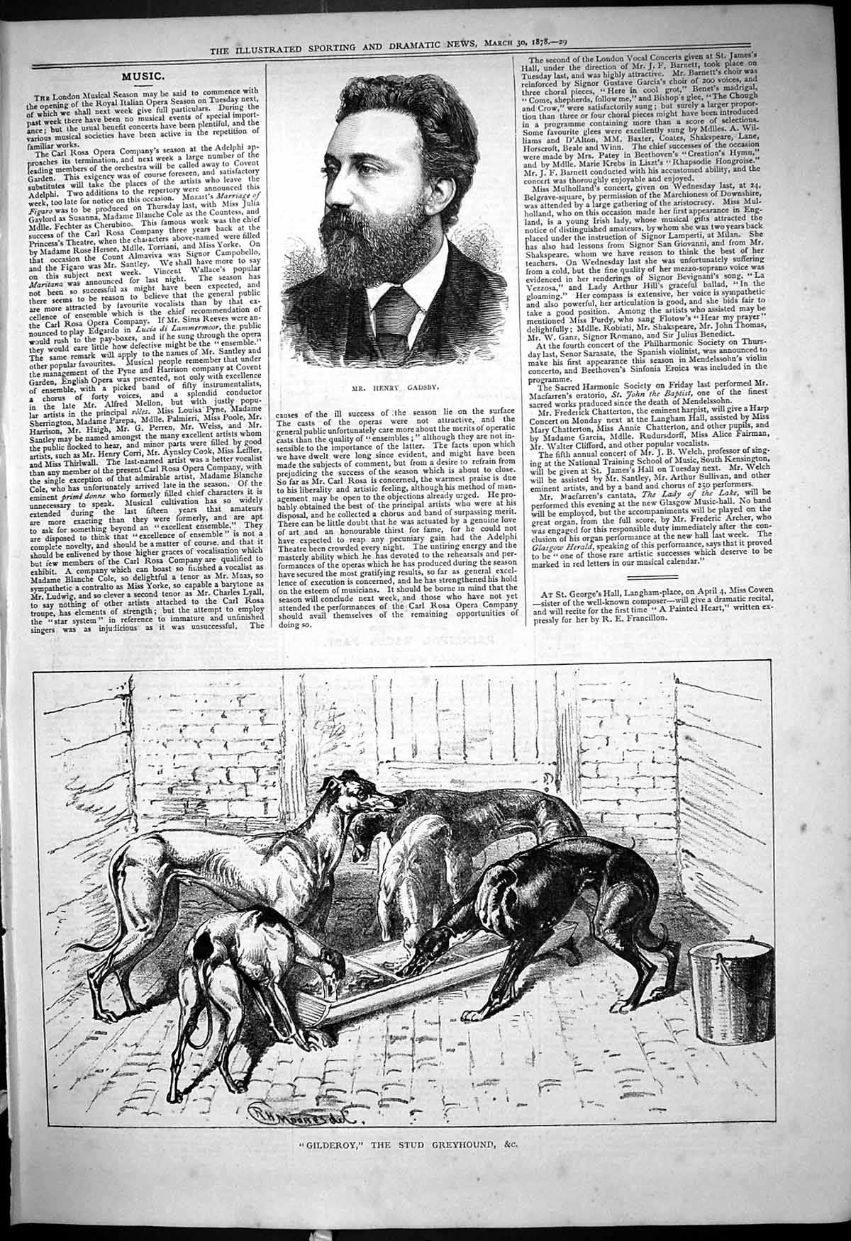 Old Antique Print 1878 Portrait Henry Gadsby Gilderoy Stud Greyhound Dogs 19th