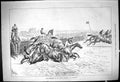 Old 1878 Scrimmage Grand National Liverpool Horse Racing Steeplechase Victorian