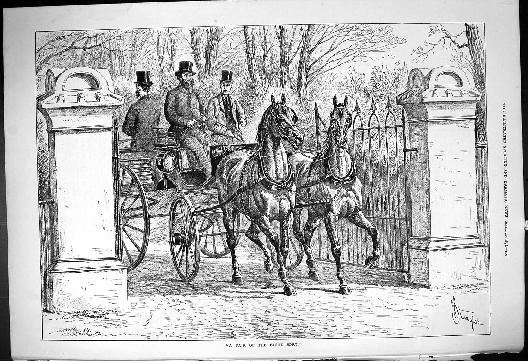 Original Old Antique Print 1878 Pair Right Sort Horses Transport Coach Sturgess