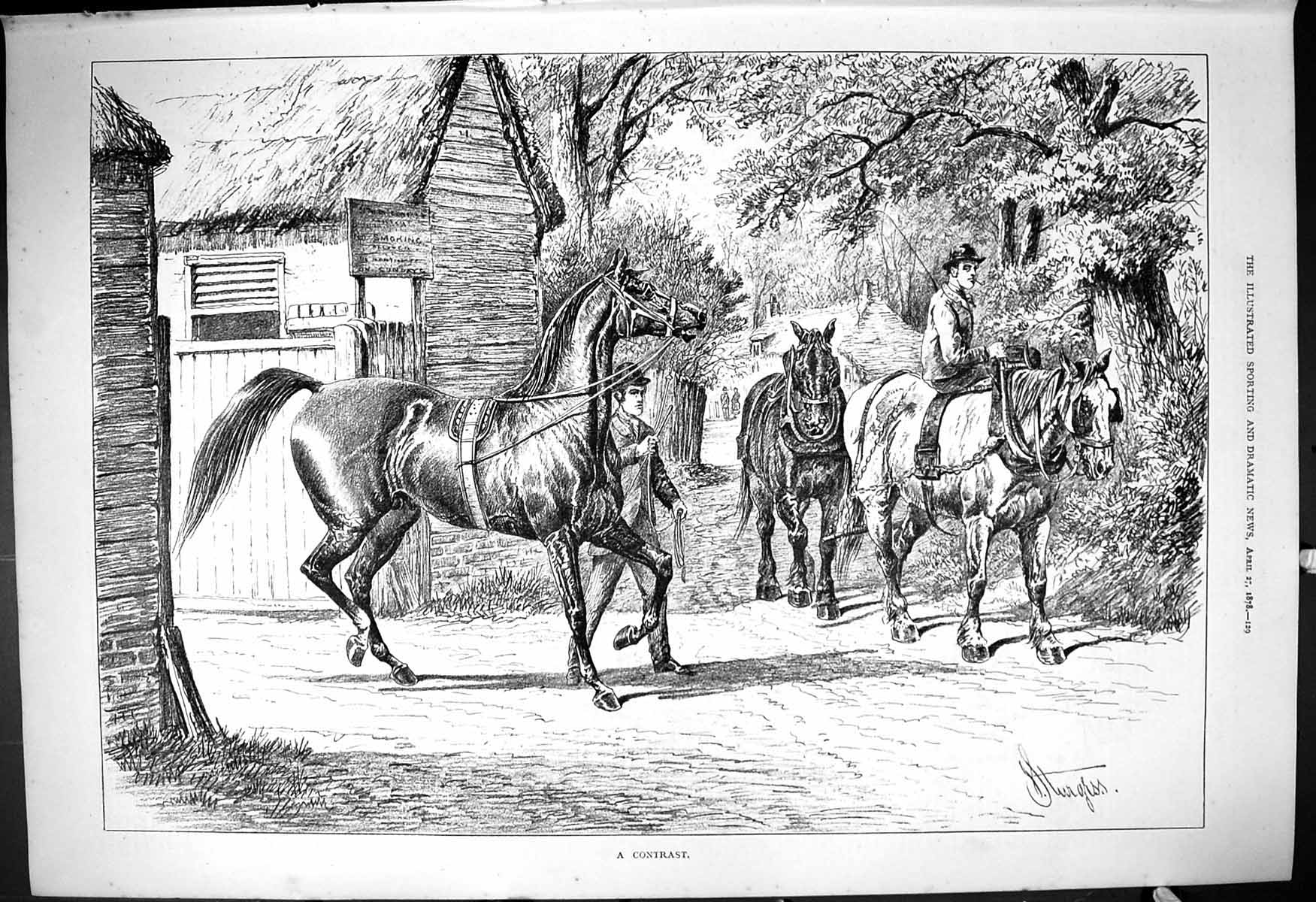 Antique Old Print 1878 Contrast Horses Stable Trainer Agriculture Sturgess 19th