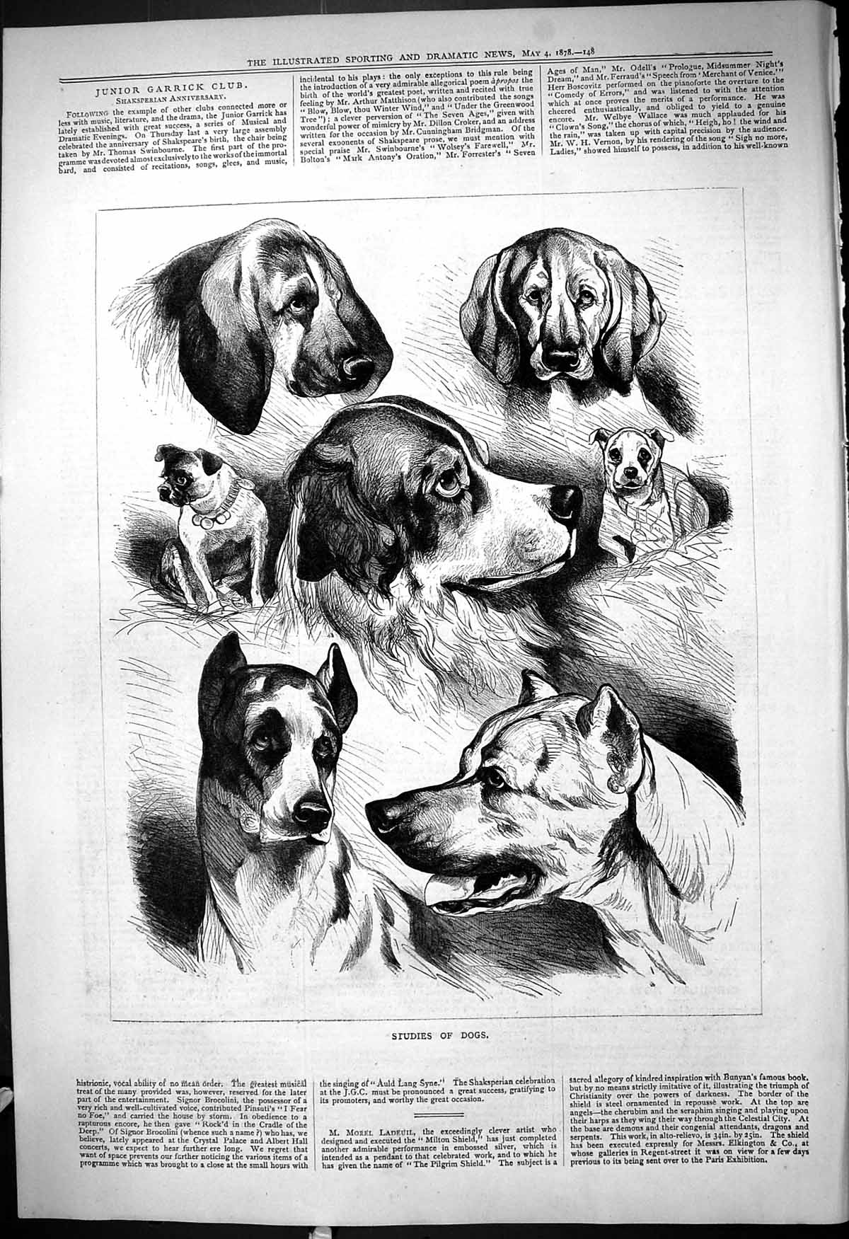 Original Old Antique Print 1878 Studies Dogs Pets Animals Hunting Victorian