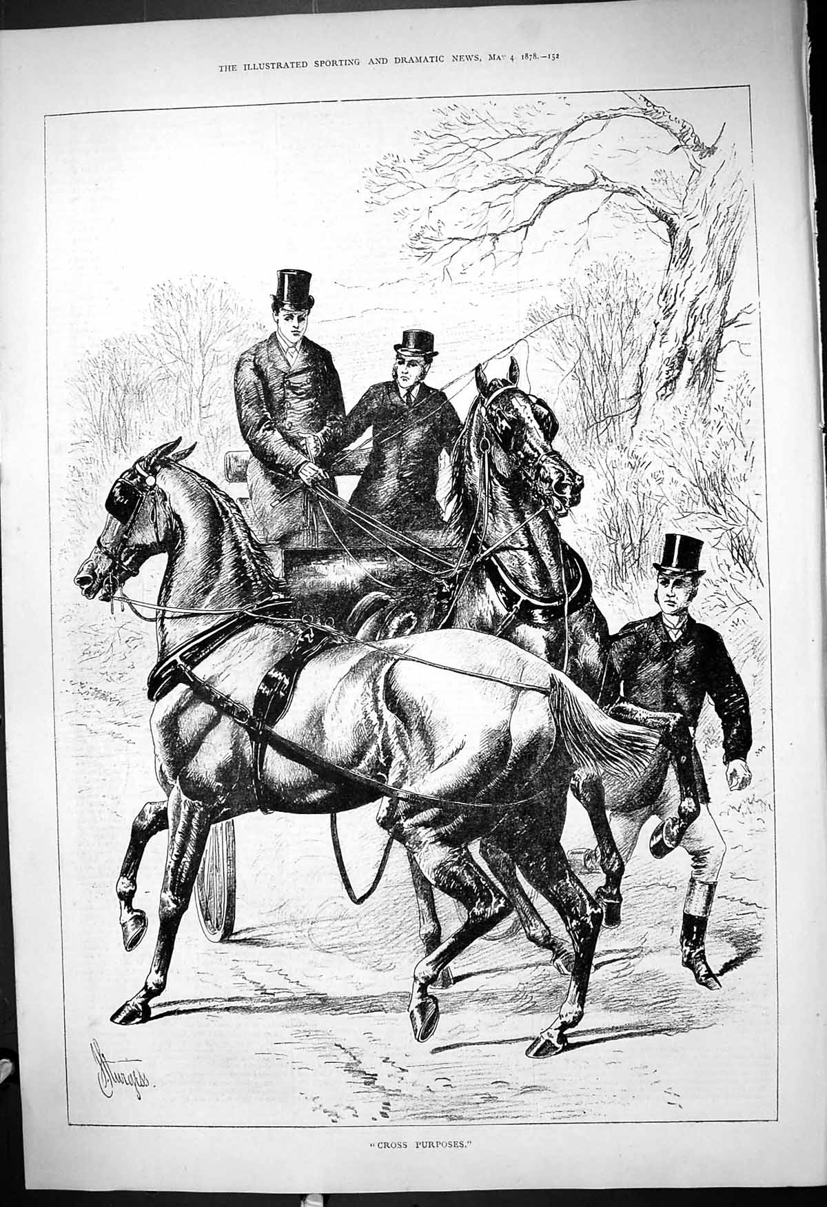 Original Old Antique Print 1878 Cross Purposes Horses Transport Coach Sturgess