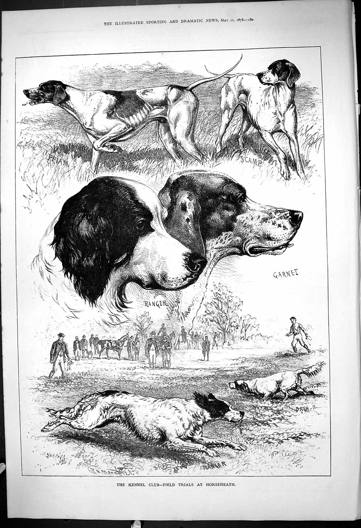Old 1878 Kennel Club Dogs Field Trials Horseheath Ranger Garnet Scamp Victorian