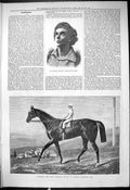 Old 1878 Mr George Leitch Twine Plaiden Hampton Horse George Fordham Victorian