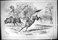 Original Old Antique Print 1878 Wild Horse Field Not Caught Yet Sturgess 19th