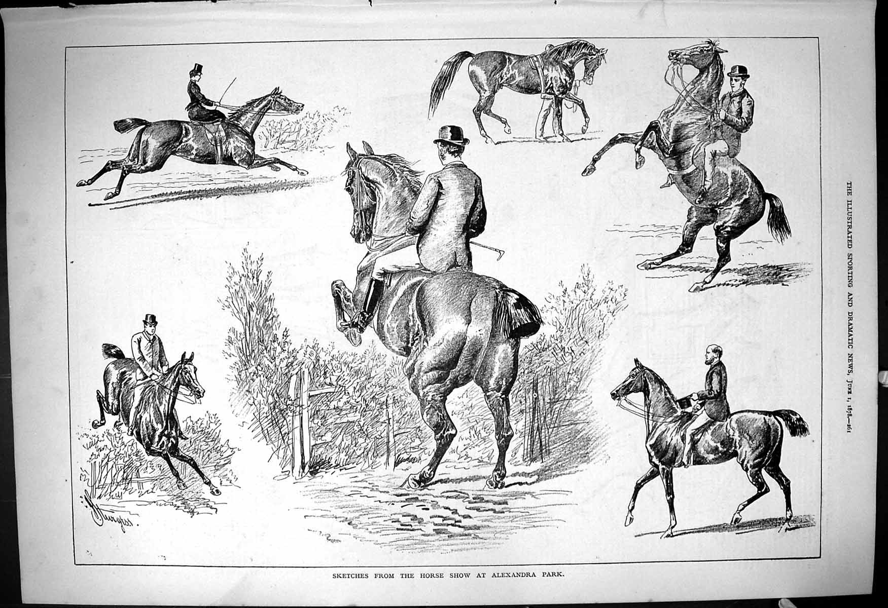 Original Old Antique Print 1878 Horse Show Alexandra Park Jumping Sturgess 19th