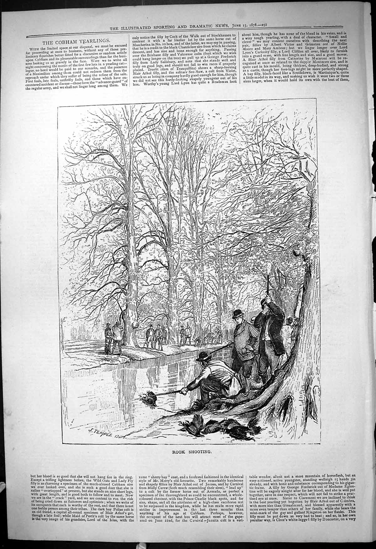 Original Old Antique Print 1878 Rook Shooting Birds Hunting Trees Temple 19th