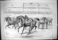 Original Old Antique Print 1878 Metropolitan Horse Show Roadster Stallions 19th