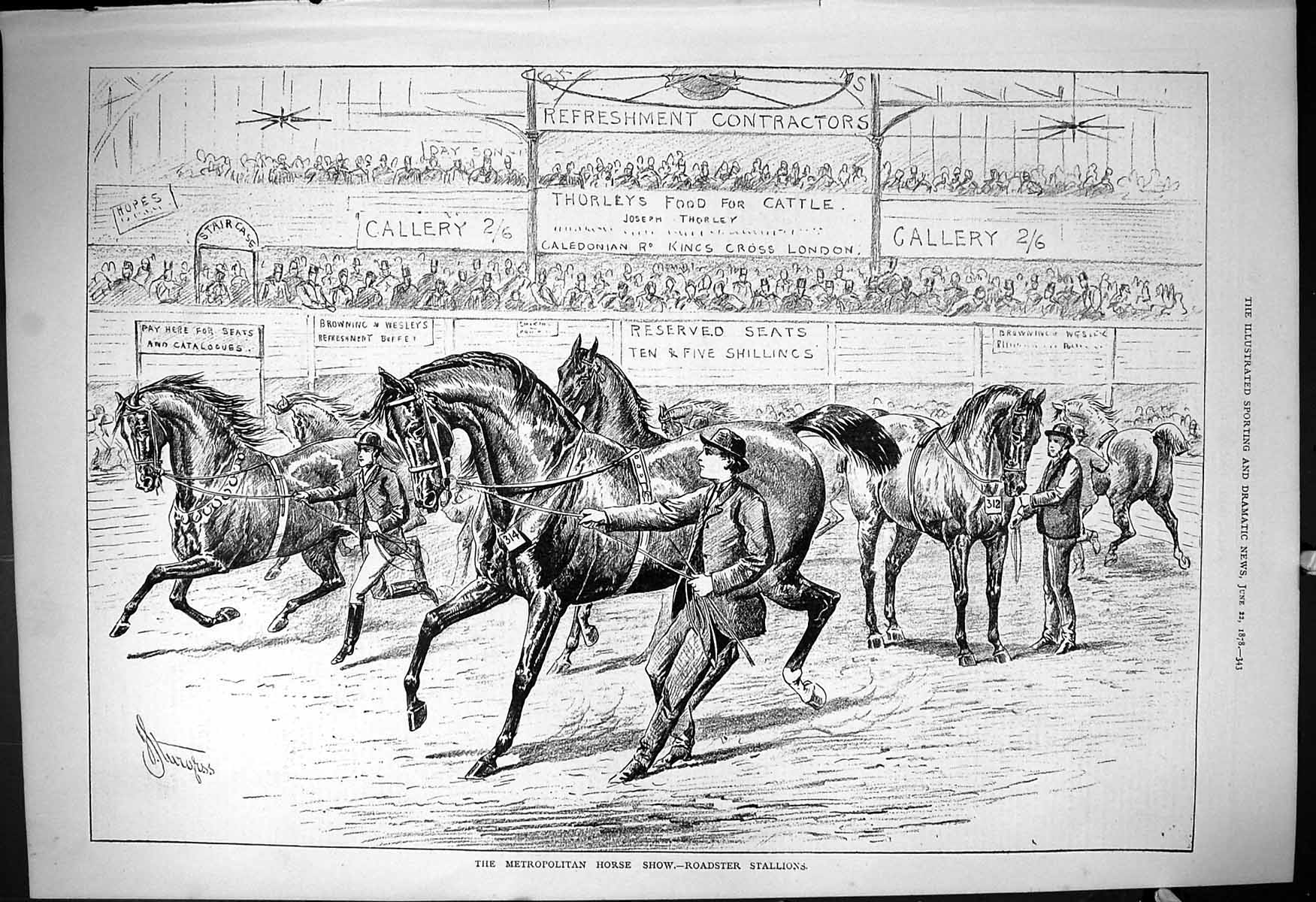 Original Old Antique Print 1878 Metropolitan Horse Show Roadster Stallions 19th