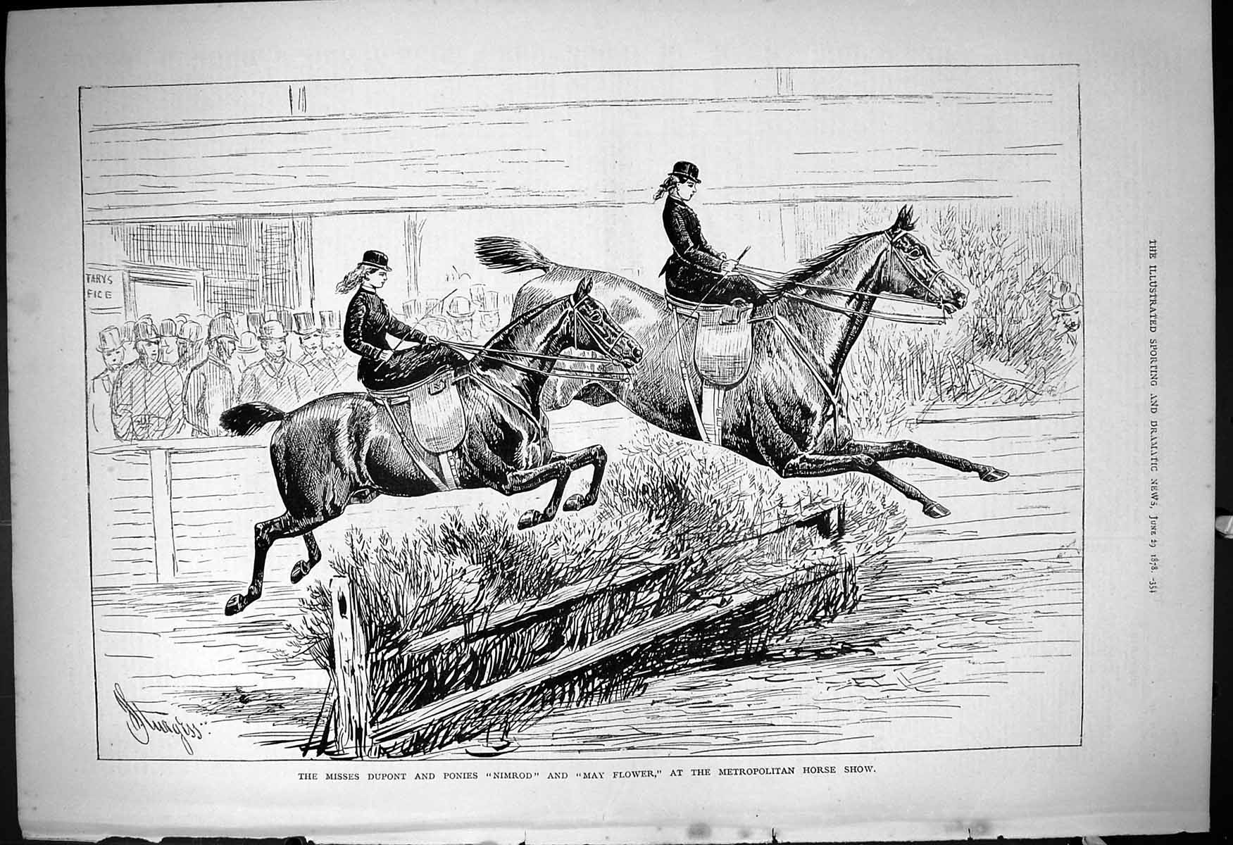 Old 1878 Misses Dupont Ponies Nimrod May Flowers Metropolitan Horse S Victorian
