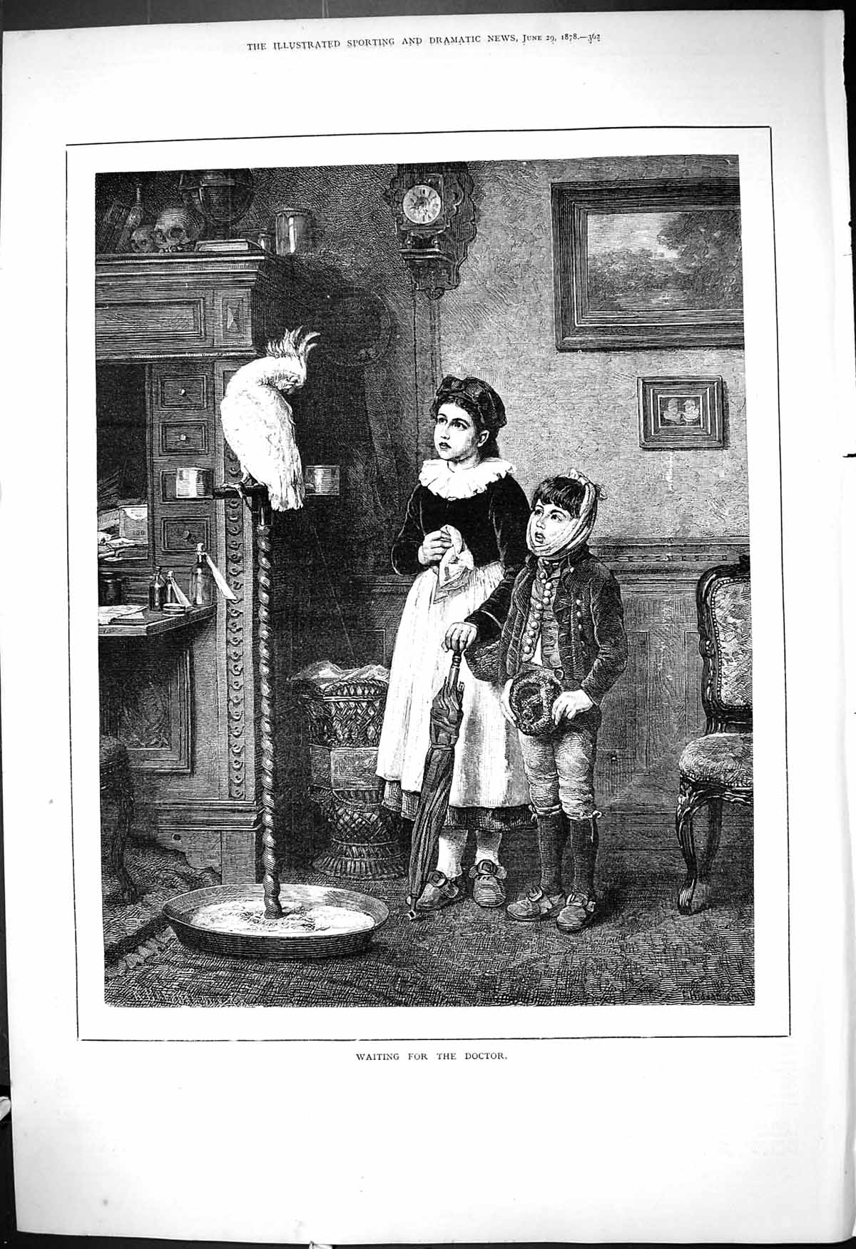 Original Old Antique Print 1878 Children Waiting For Doctor Parrot Bird 19th