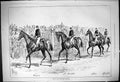Antique Old Print 1878 Ascot GCup Horse Racing Silvio St. Christophe Hampton