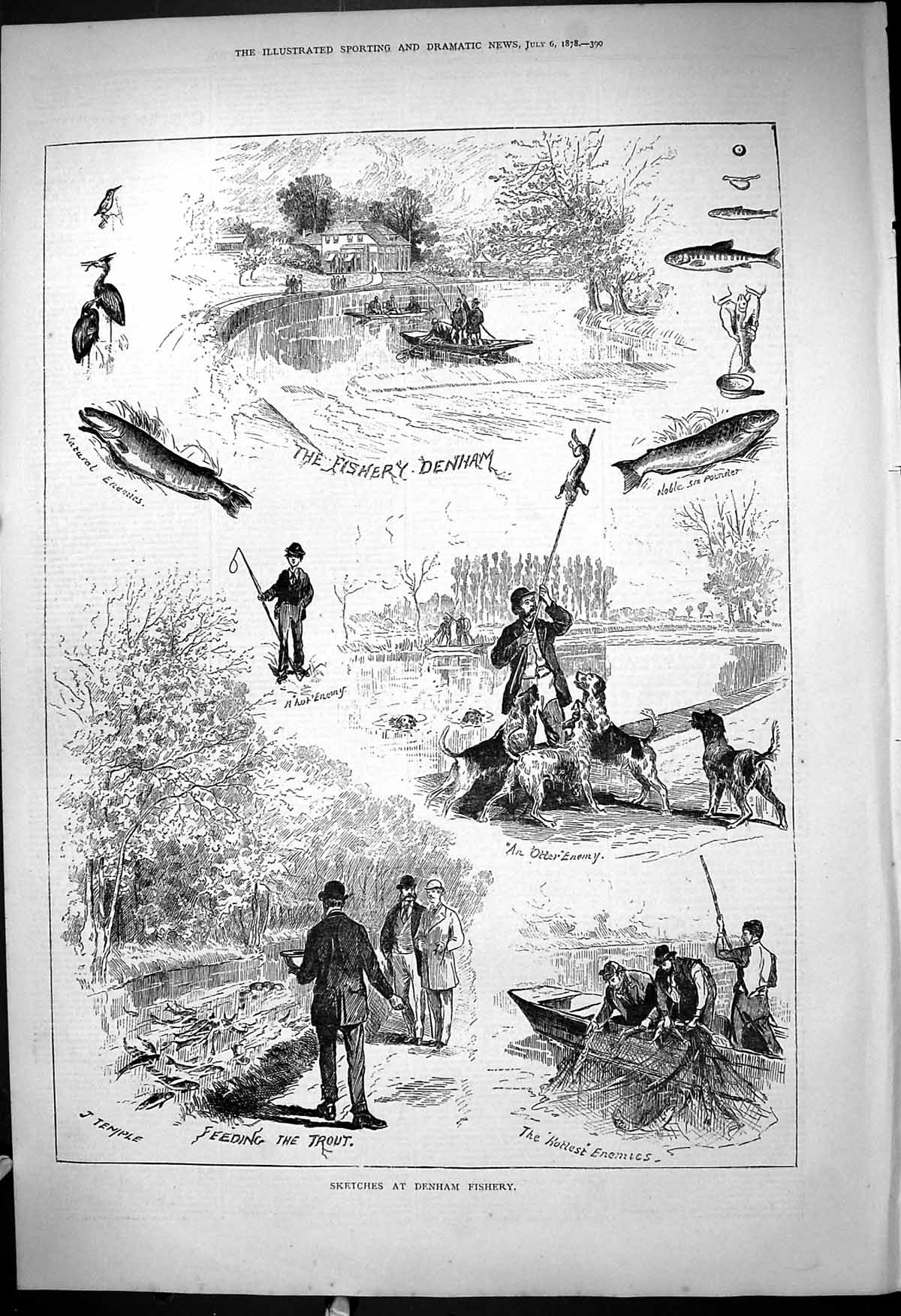 Antique Old Print 1878 Denham Fishery Trout Otter Hounds Dogs Fishing Nets 19th