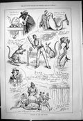 Antique Old Print Humours Past Month Cricket Zoo Animals Strand Theatre 1878