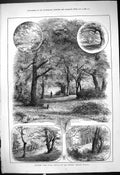 Original Old Antique Print 1878 Epping Forest Citizens Hunting Ground Trees