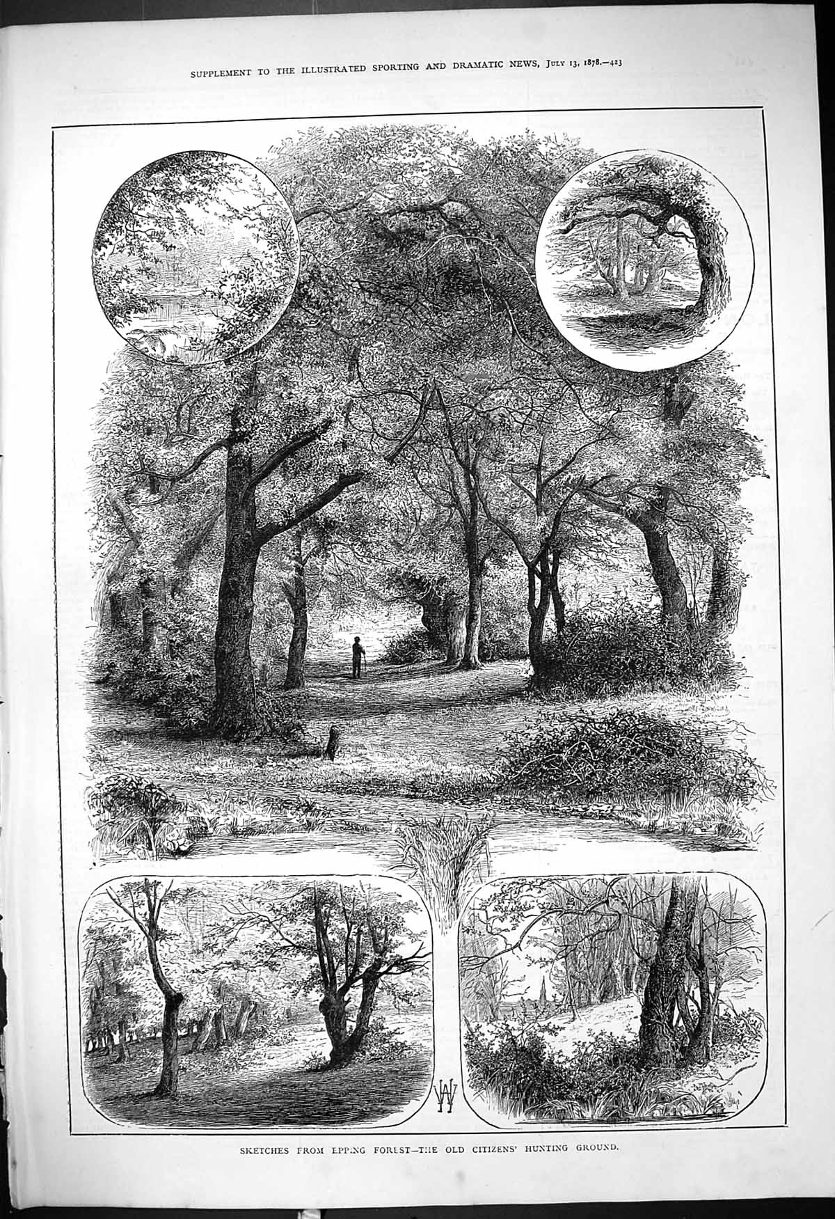 Original Old Antique Print 1878 Epping Forest Citizens Hunting Ground Trees