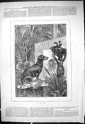 Original Old Antique Print 1878 Art Critic Dog Painting Sculpture Victorian