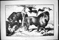 Old 1878 Animals After Congress Russia France England Italy Lion Bear Victorian