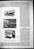Antique Old Print 1878 Arctic Regions Sea Boat Sailing Snow Animal Horse Cart