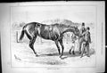 Antique Old Print 1878 Good-Bye To The Turf Retired Race Horse Jockey Trainer
