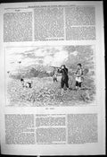 Original Old Antique Print 1878 First Grouse Shooting Hunting Sport Dogs 19th