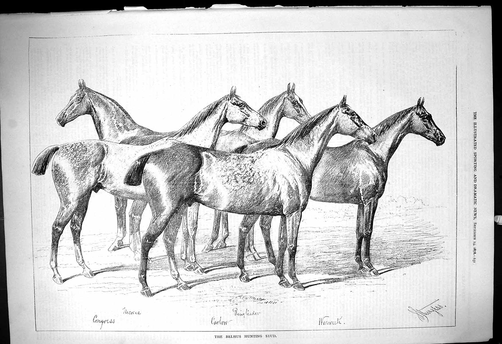 Antique Old Print 1878 Belhus Hunters Stud Horses Congress Ringleader Warwick