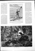 Old Mr Fowler Crossing Channel Dead In Forest Scene Stag Deer Dog 187 Victorian