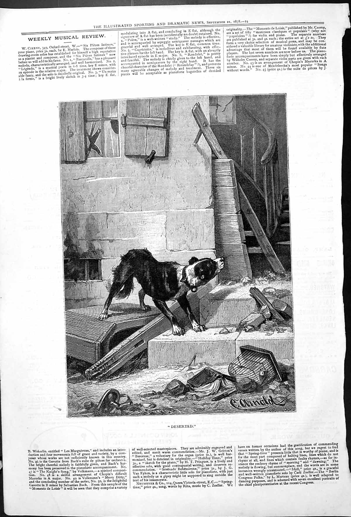 Original Old Antique Print Deserted Outdoor Scene Dog Animal Wreckage 1878 19th