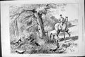 Antique Old Print Rattling Cubs Horse Fox Hunting Dogs Sturgess Portrait 1878