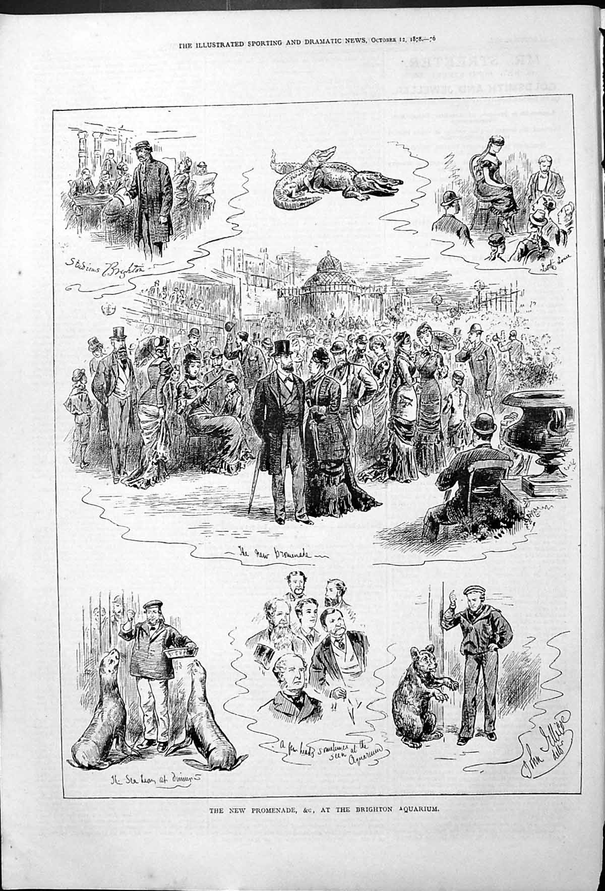 Original Old Antique Print New Promenade Brighton Aquarium Sea Lions 1878 19th