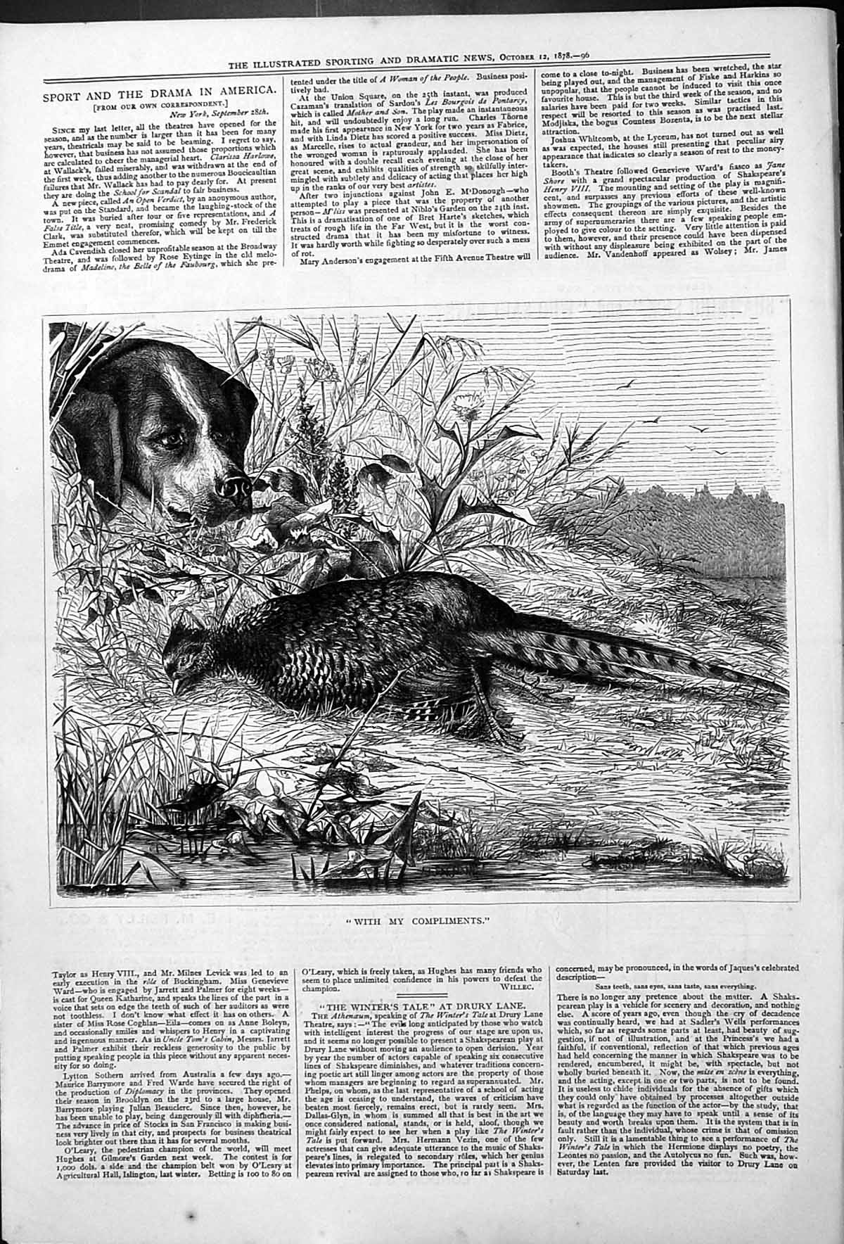 Original Old Antique Print Pheasant Bird Dog Hunting Sport 1878 19th