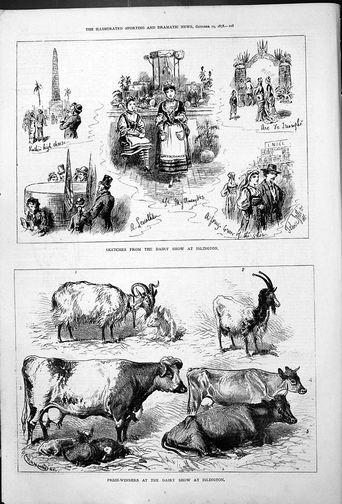 Old Islington Dairy Show Sketches Prize-Winners Cows Goats Moore 1878 Victorian