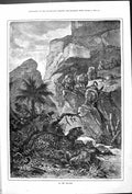 Old Antique Print To The Rescue Leopard Attack Baboons Outdoor Scene 1878 19th