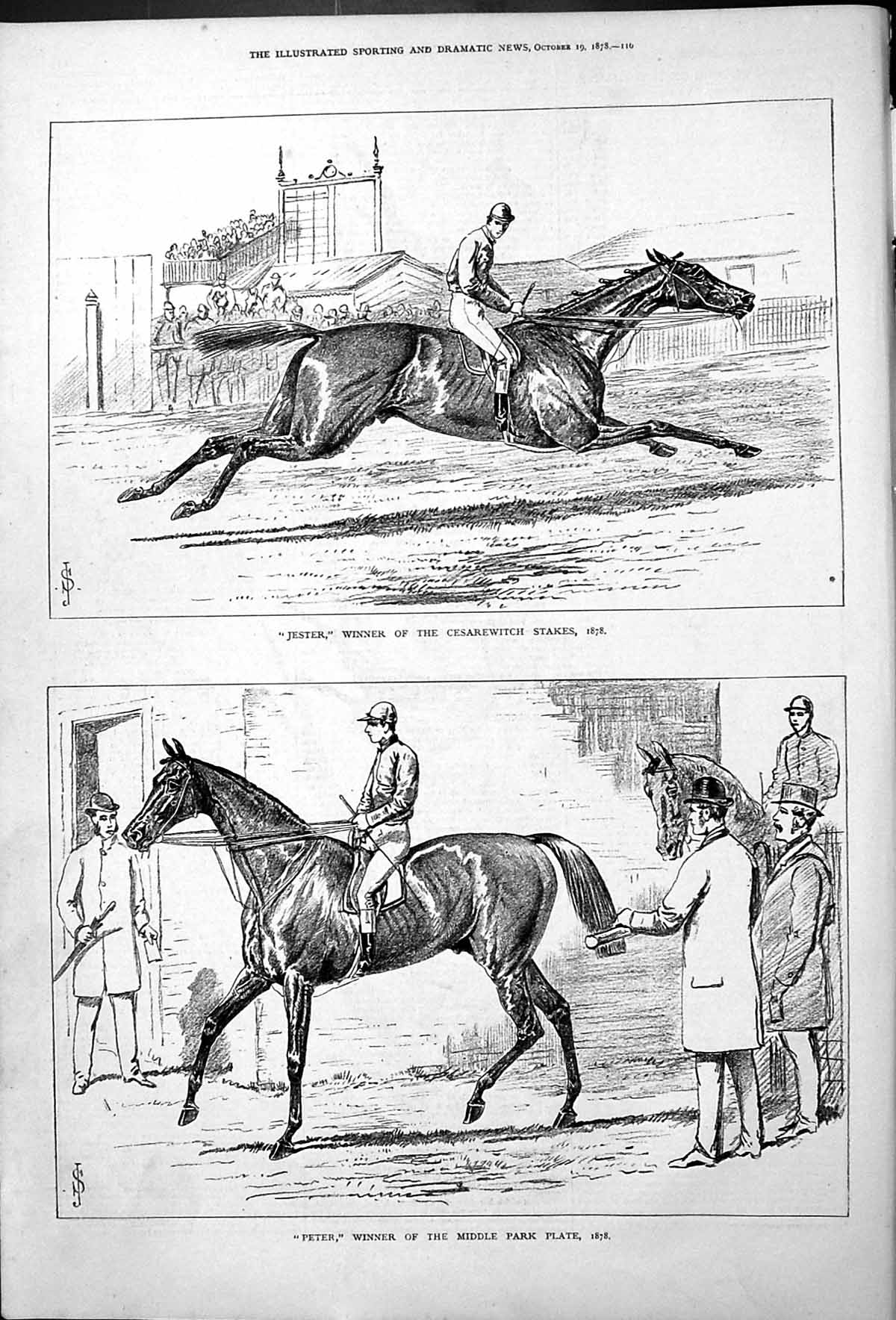 Old Jester Cesarewitch Stakes Winner 1878 Peter Middle Park Plate Hor Victorian